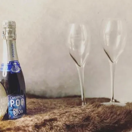 Village Igloo 酒店
