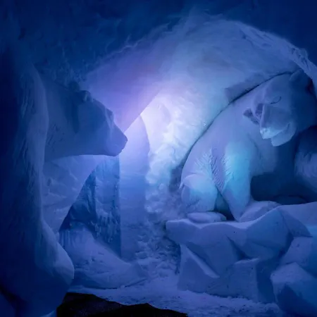 酒店 Village Igloo *