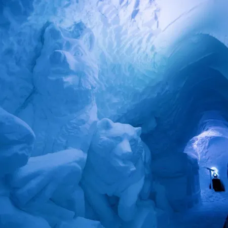 Village Igloo Hotel